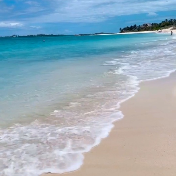 Meet your Posher, Pauline - Picture 1 of 1